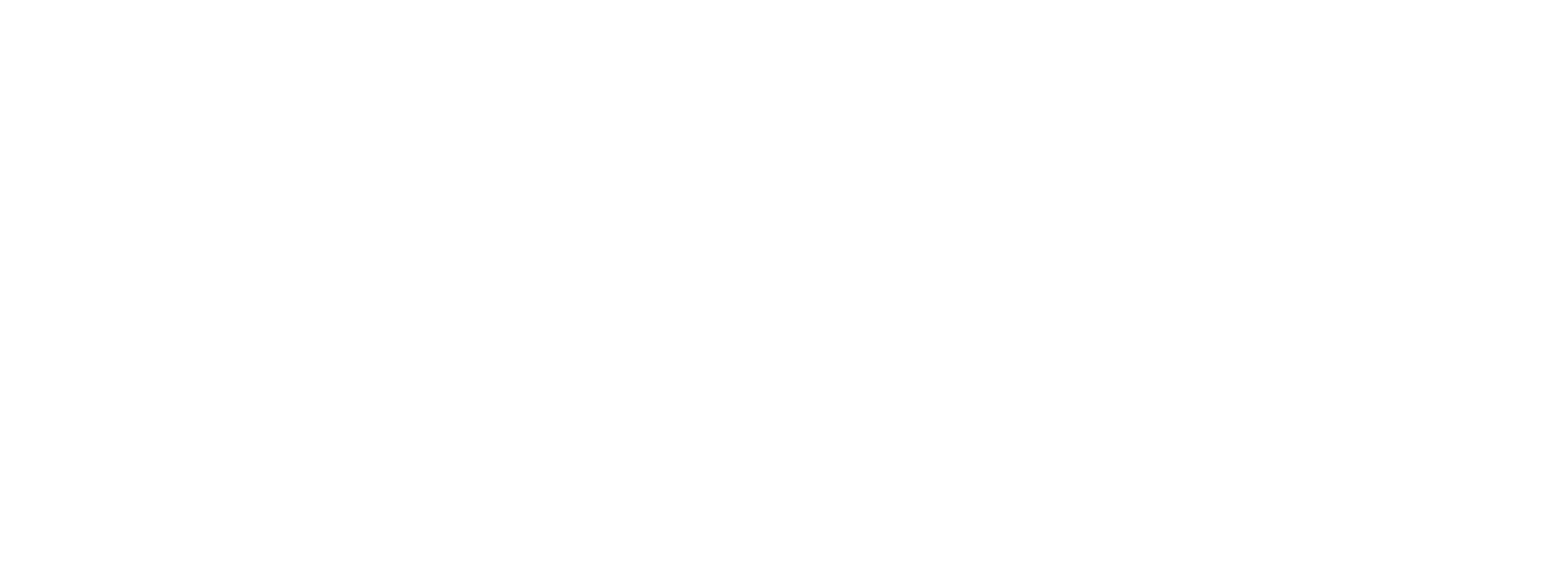 aifi-logotype-white-large-rgb AiFi by Sound Dimension